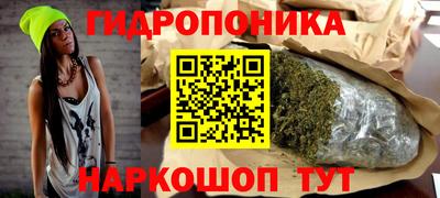 амф Можга